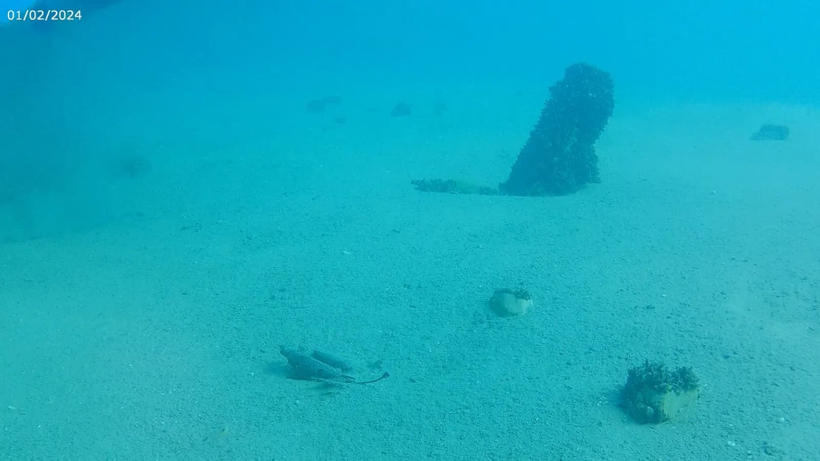 Underwater photo of waste on the floor of Lake Ohrid — the reason for the cleanup action